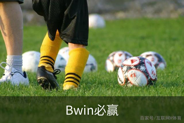 Bwin必赢公司简介